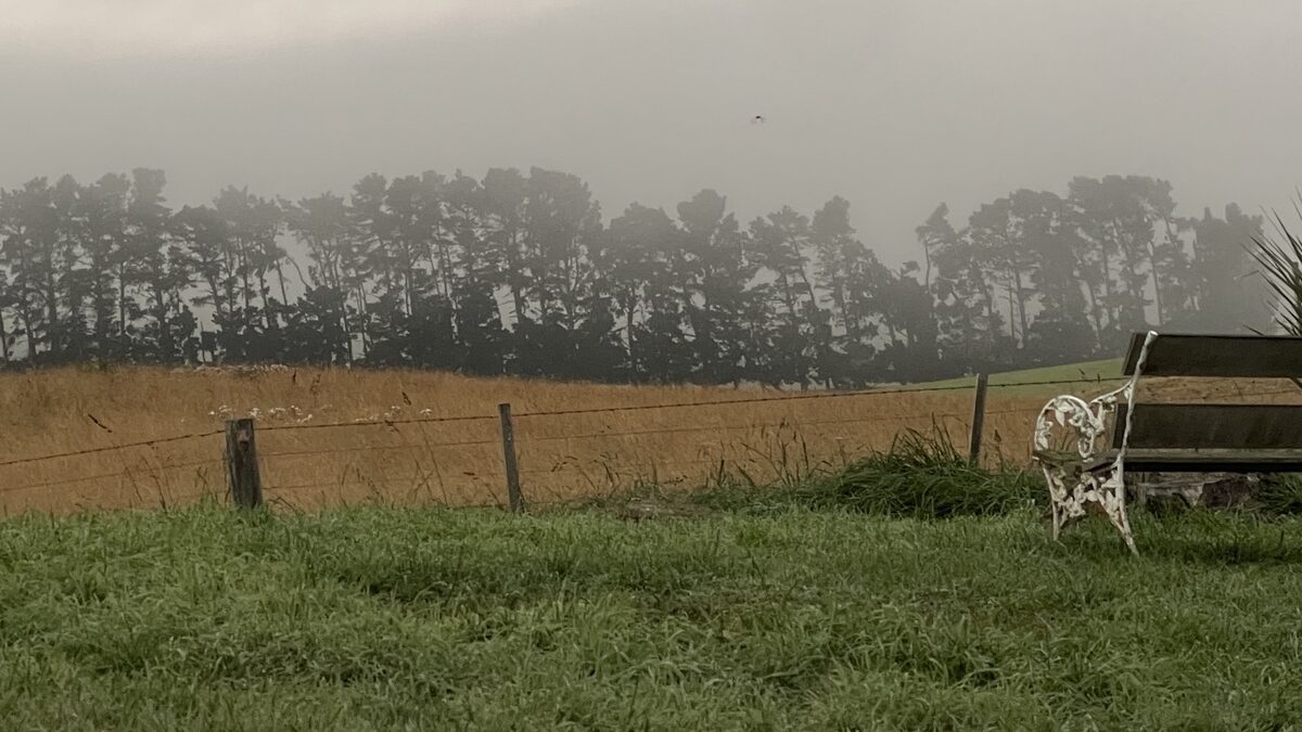 A bench at the edge of a paddock in heavy fog; the far side of the field is not visible.