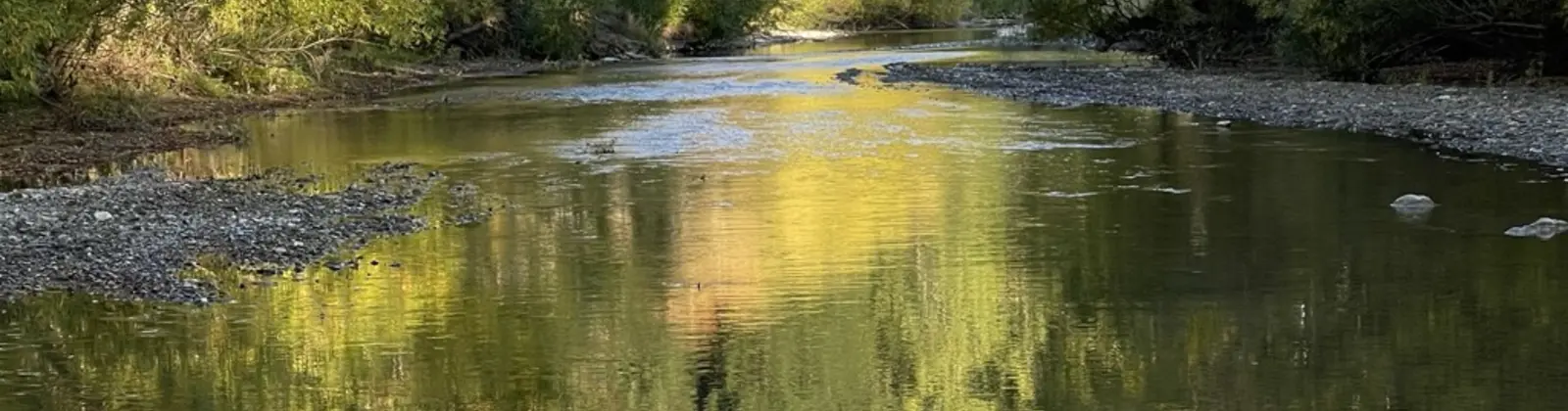Clear shallow river over pale stones, reflecting the bank