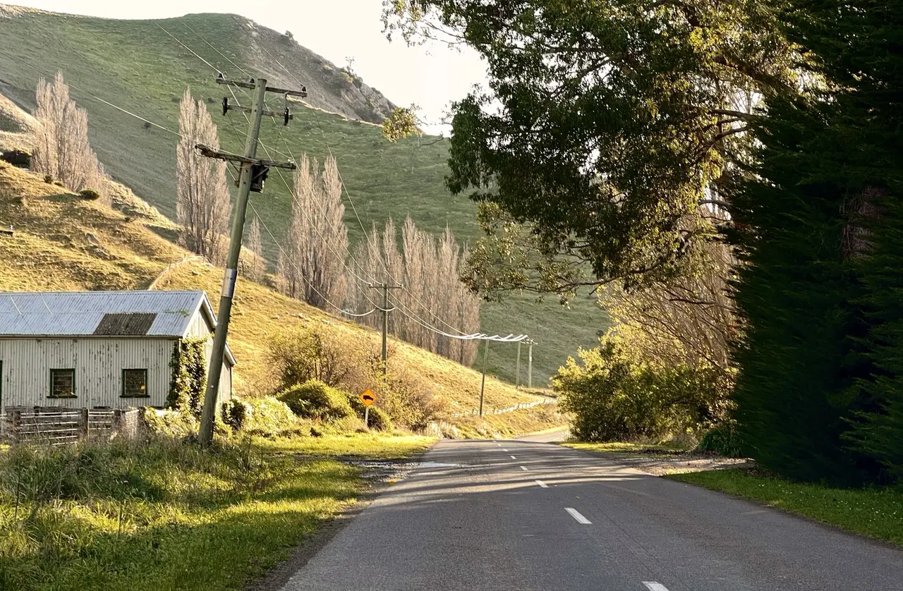 Rural road, power lines and an old woolshed in evening light