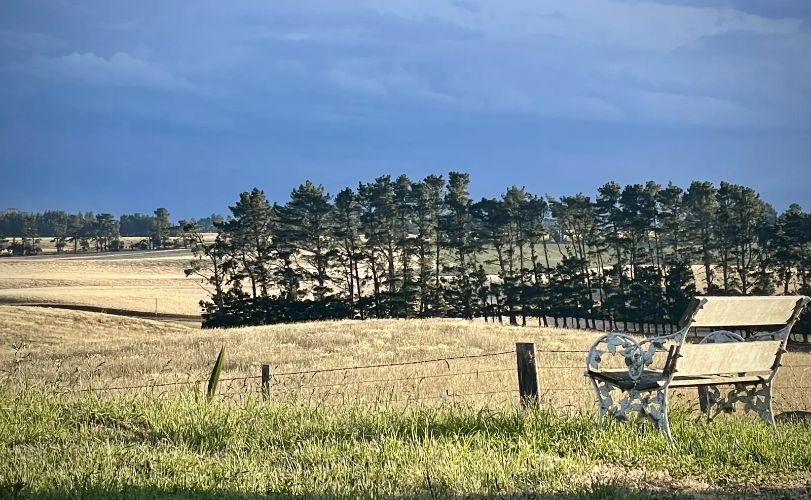 A bench looking out over a long view